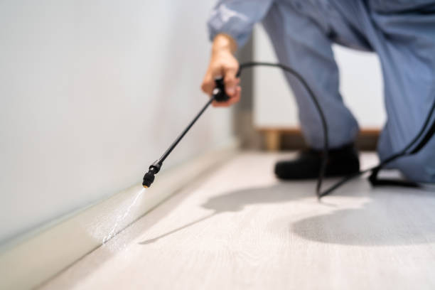 Licensed Termite Control service in Pacifica, CA - Nex Pest Control