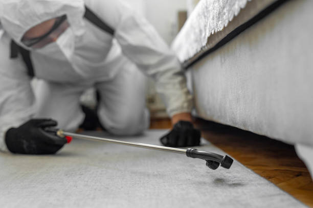Professional Termite Control technician working in Pacifica, CA