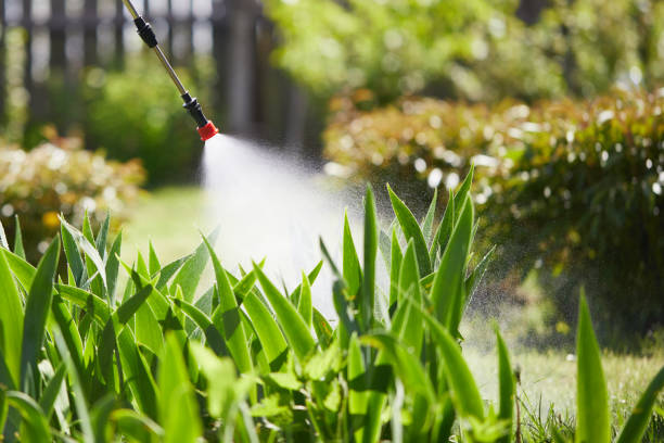 24/7 Emergency Termite Control experts in Pacifica, CA