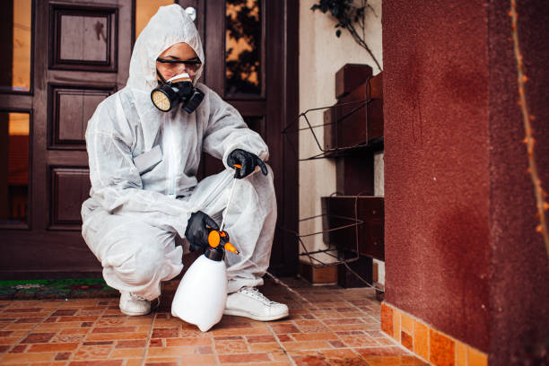 Reliable Termite Control contractor in Pacifica, CA by Nex Pest Control