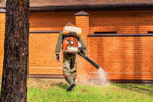 Top rated local Termite Control specialists in Pacifica, CA